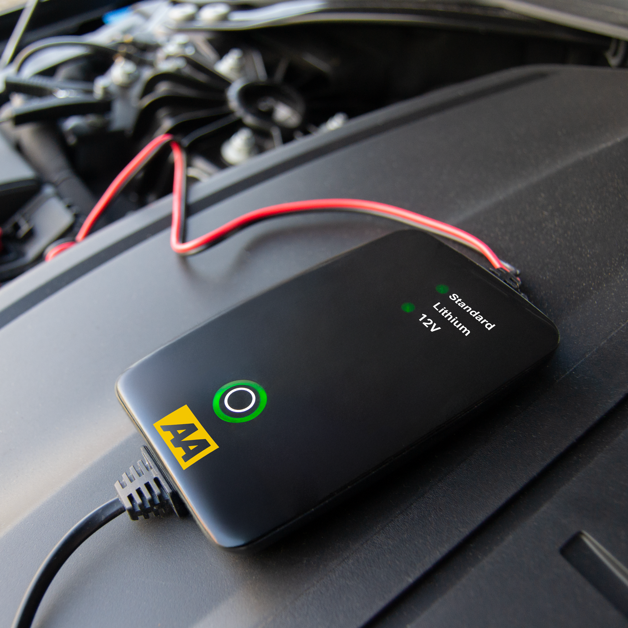 AA 4amp Slim Compact Smart Battery Conditioner - Image 4