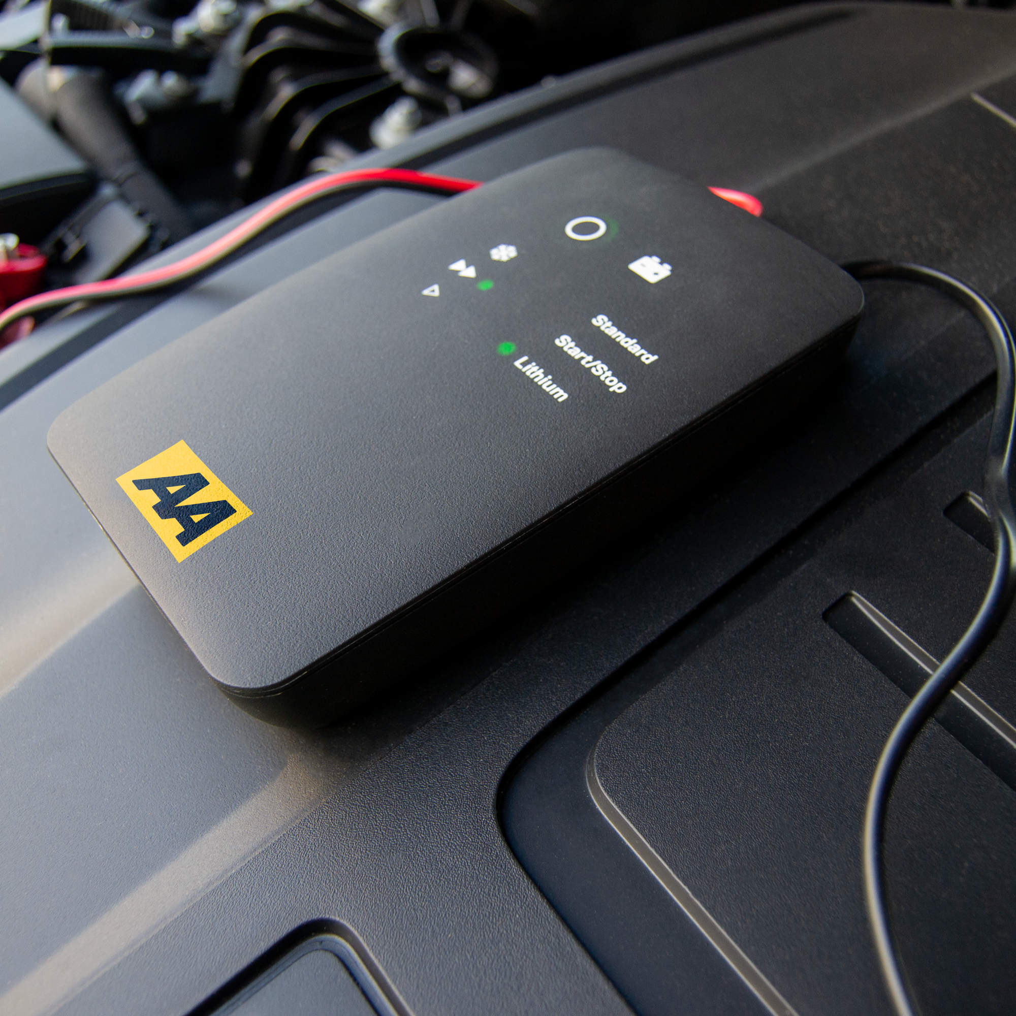 AA 6amp Slim Compact Smart Battery Conditioner